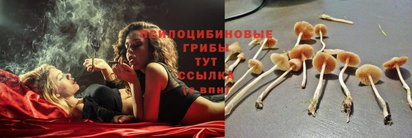 бутират Мегион