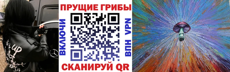 Купить закладки  Рязань  Псилоцибиновые грибы MAGIC MUSHROOMS 